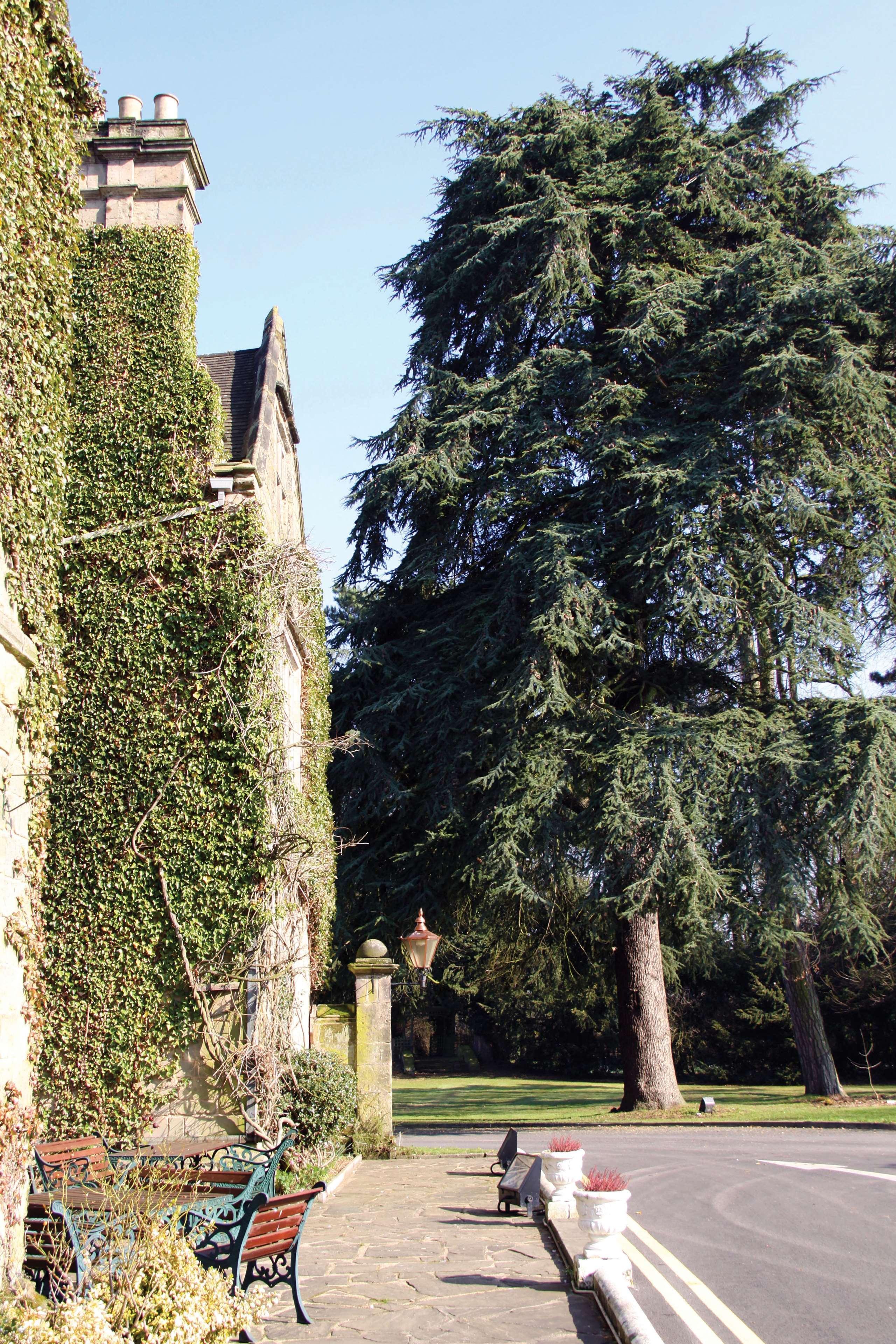 Weston Hall Sure Collection By Western Hotel Bulkington